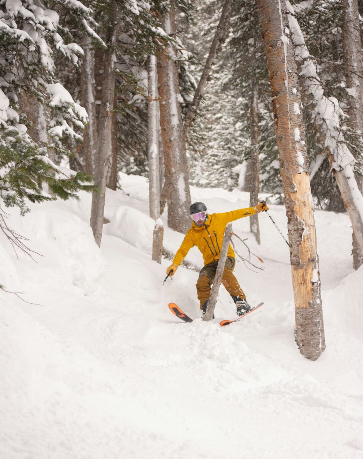 A skier turning through deep untracked snow between snow-laden conifers